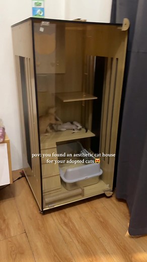 Aesthetic Cat House for Your Adopted Cats
