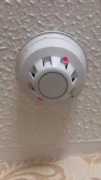 Apollo Smoke Detector Test