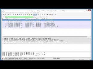 Packet Class: Wireshark - Lua Protocol Dissectors