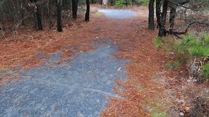 🍂🏈🎃 Welcome to our 2024 Delaware Fall Guide 🎃 🏈🍂