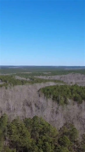 Edge field, South Carolina drone footage ￼