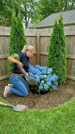 Nobody Expected This From The Same Corner 🤯The right layout changes everything. YardTransformation