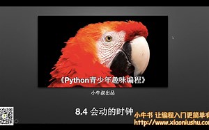 【Python青少年趣味编程】【08 turtle】04 turtle动画制作时钟 海龟turtle|Python画图