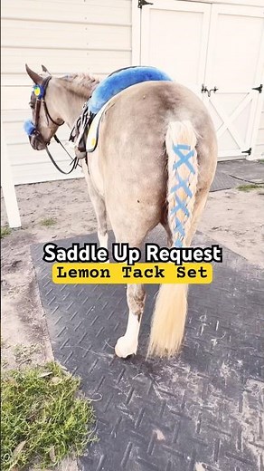 Mini Horse Saddle Up 🍋 Lemon Tack! #minihorse