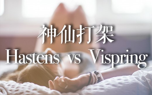 神仙打架 Hastens vs Vispring