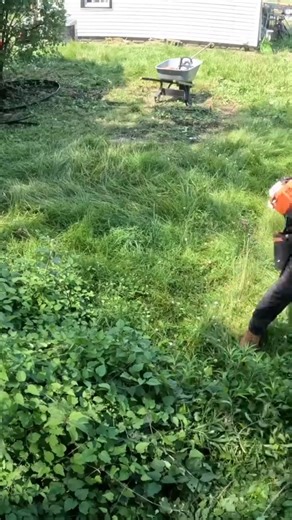 House LEFT BEHIND and FORGOTTEN - owners no where to be FOUND | The Technology