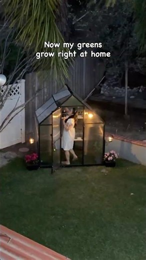 My Backyard Just Got a Green Home from Temu