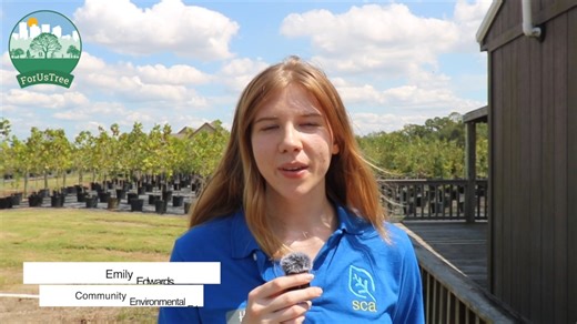 ForUsTree - SCA Environmental Intern Emily