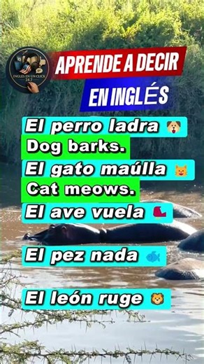 Animals in English