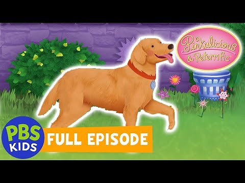 Pinkalicious & Peterrific FULL EPISODE | Pinkminster Dog Show / Do Over Ray | PBS KIDS