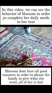 The behavior of the bad wife in order to complete her daily needs 😀 💖The BAD and the GOOD W8FE STORY💖 #SUBSCRIBERS #support #followers #highlights #viewers #highlightseveryonefollowers2025シ゚viralfbreelsfypシ゚viral | Bies Lola