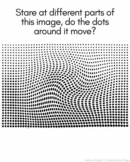 khaddar.com.pk on Reels