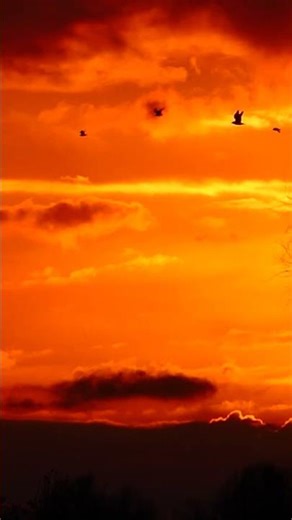 Smellin' Out Mah Ears | Rompous Episode 6 Out Now