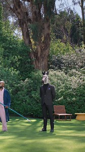 The Zebra simplifies insurance. Compare options from 100 providers in under 5 minutes. | The Zebra