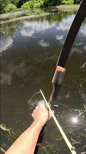 River Bowfishing! #bowfishing #carp #fishing