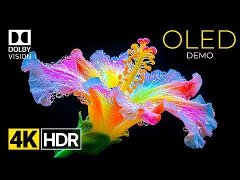 True HDR colors 🌈 4K Mind-Blowing Visuals In Dolby Vision IMAX