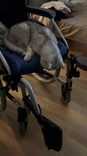 Uuden elämän opettelu: Amputaatio ja toipuminen
