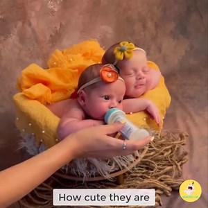 9.2M views · 395K reactions | Newborn babies' photoshoot will melt your heart 殺  Our group: Baby Lovers | The Sound Natures | Facebook