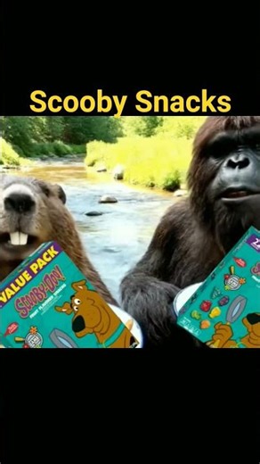 Lance B Reacting to Jay meets World and Niall no chill ''Scooby Doo'' Reactor Spotlight clip 1