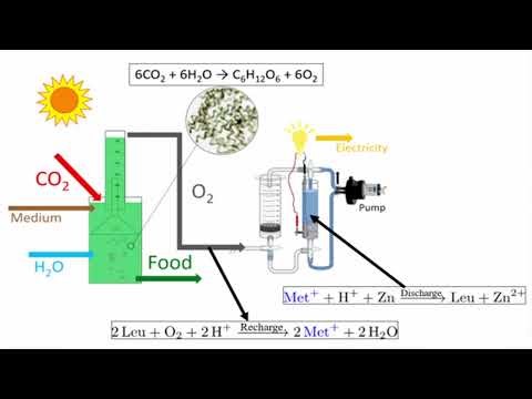 People’s Choice Award 2022- Switzerland- Stockholm Junior Water Prize