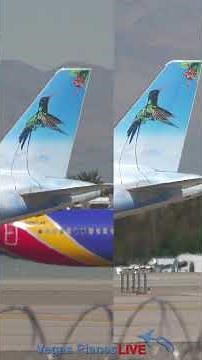 🪽Hummingbird, Hummingbird Fly! Stewart Soars over Vegas! #hummingbird #aviation #lasvegas #a321 #jet