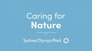 Caring For Nature - Managing the endangered Green and Golden Bell Frog