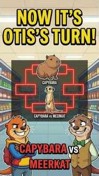 Capybara vs Meerkat Who Wins the Quarterfinal?