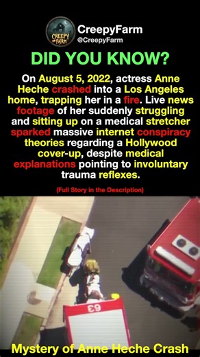 The Tragic Mystery of Anne Heche’s Accident