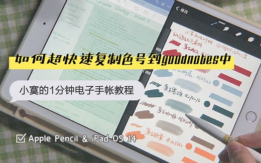 【1分钟电子手帐教程】如何10秒超快速复制色号到goodnotes中 | iPad笔记配色不用愁 | Pencil小技巧