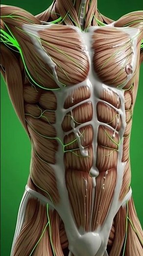 Inside Your Body: 3D Animation of Milk Digestion & Nutrient Flow