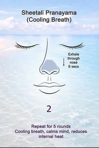 How to practice Sheetali Pranayama correctly #shorts #breathwork #tutorial #yoga