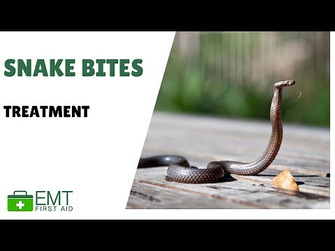 Snake Bites | Health and Safety | EMT First Aid Training |