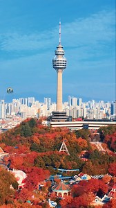 Drone View of Daegu Tower 🍁🇰🇷🍂❤️ 83Tower is a symbol of Daegu and offers an incredible view of the entire city. #daegutower #fblifestyle #이월드 #대구 #83타워 #solotravel | SOLOTravel