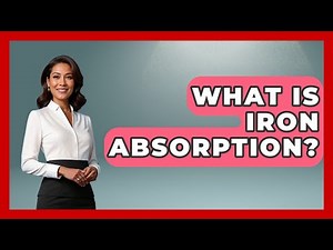 What Is Iron Absorption? - Inside Body Image