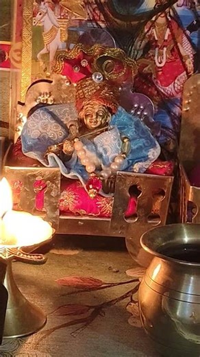 ye hai radha ji ke pyare ❤ #premanandjipravachan #radhe #youtubeshorts #vrindavanmarg #vrindavan