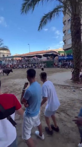 That Bull Wasn’t Bullshittin: Chick Gets Bodied By An Angry Bull… Was Tryna Split Them Cheeks One Way Or Another!