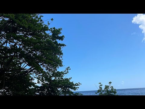 Sunrise boss is live