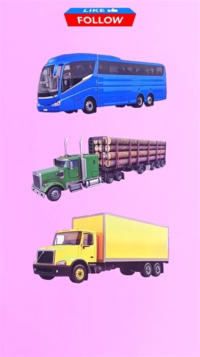 Box Truck, Logging Truck and Bus #puzzle #shorts