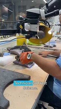 Day in the Life of a Fossil Preparation Technician at Frost Science Museum