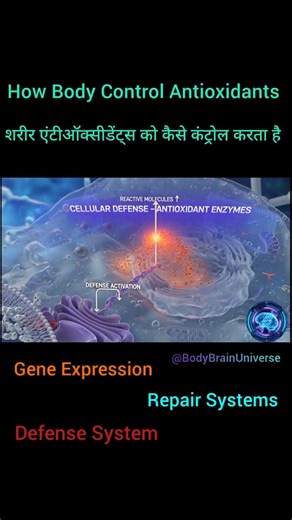 Antioxidants Balance Kaise Maintain Karein? | Oxidative Stress Control Explained