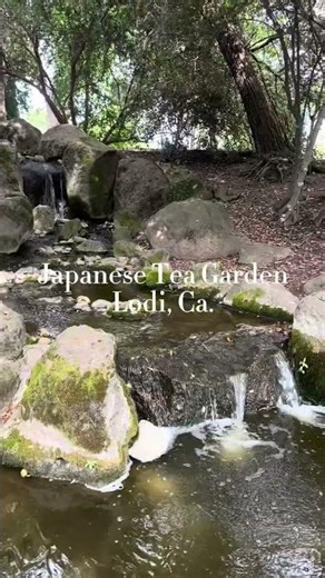 Japanese Tea Garden in Lodi, Ca.