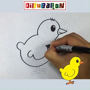 Cómo dibujar un Pollito Paso a Paso | Dibujo de Pollo | DibuBaron