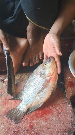 Pro Level Tilapia Cutting Skills 🔪 Must Watch Speed! #fishcutting
