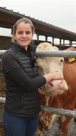 Lely A5 | 4-6 Stunden Zeitersparnis pro Tag