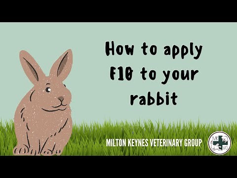 How to apply F10 to your rabbit- Home tutorial