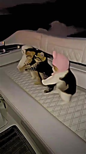 #fyppppppppppppppppppppppp #trending #cute