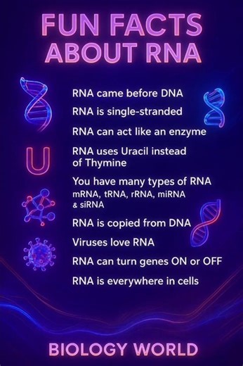 🧬“Mind-Blowing RNA Facts You Never Knew! 🔥”#biologyfacts#scienceshorts#molecularbiology#shorts