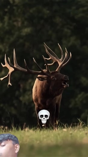 cigarette sound 💀☠️