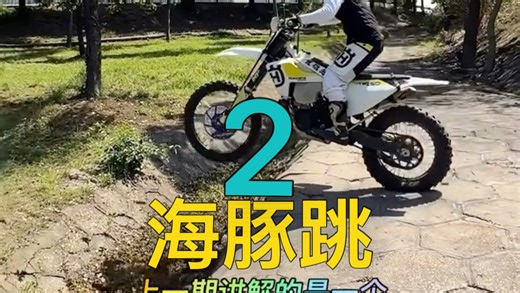 海豚跳实际应用，技术分解2