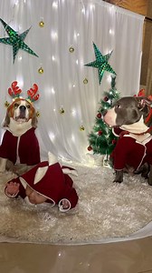 The actual bts 😅😅 #christmasfeels | Doodle